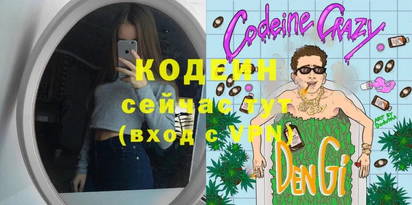 дурь Заводоуковск
