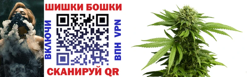 Купить закладки  Прохладный  МАРИХУАНА сатива 
